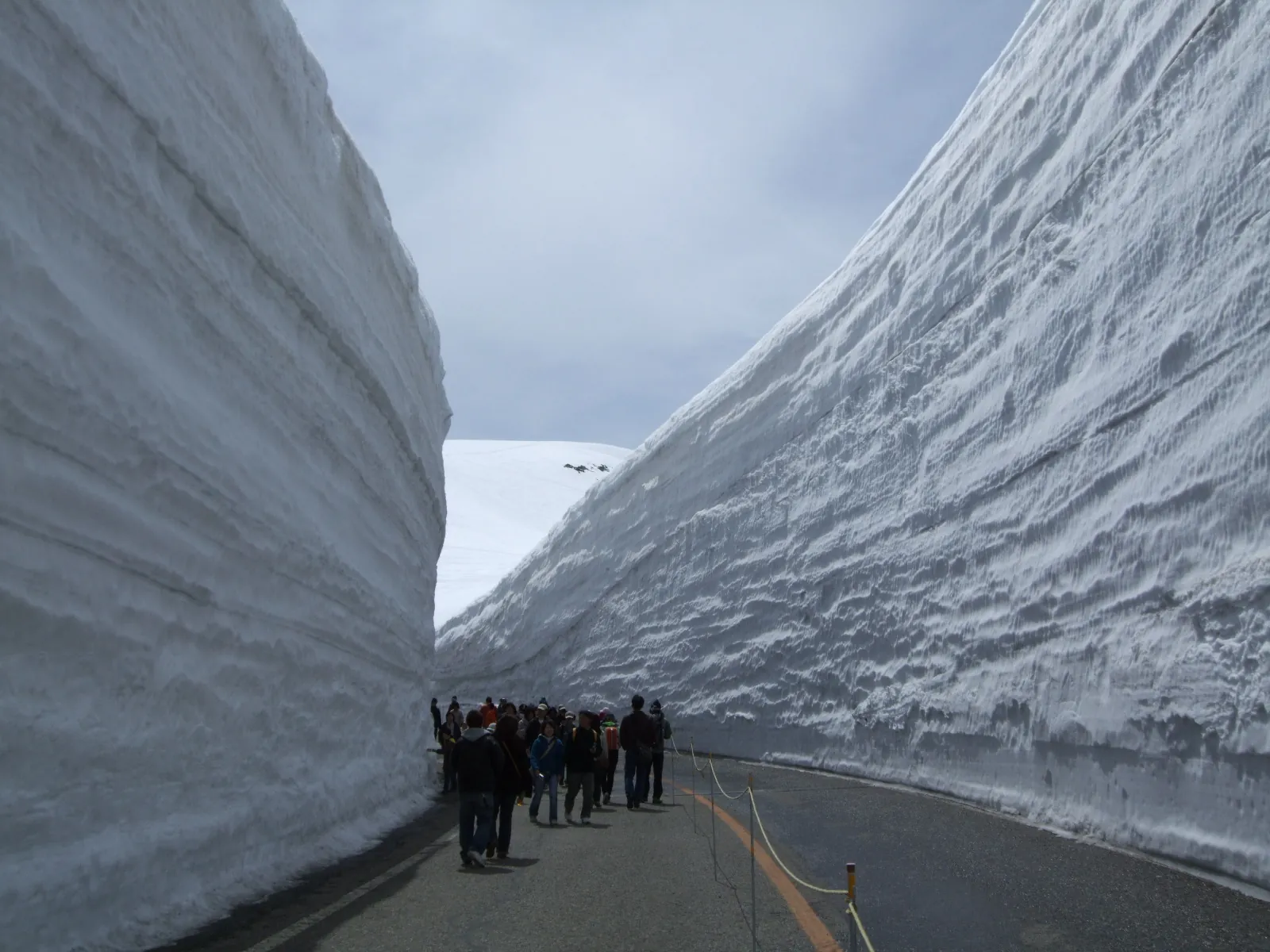 Walking through Yuki no Otani, the corridor of snow that appears only in the spring opening period. Photo: Uryah (CC BY-SA 3.0)