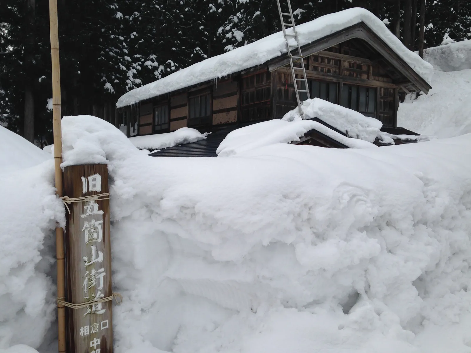 Ainokura buried in snow. The steep roofs are a shape for shedding it. Photo: そらみみ (CC BY-SA 4.0)