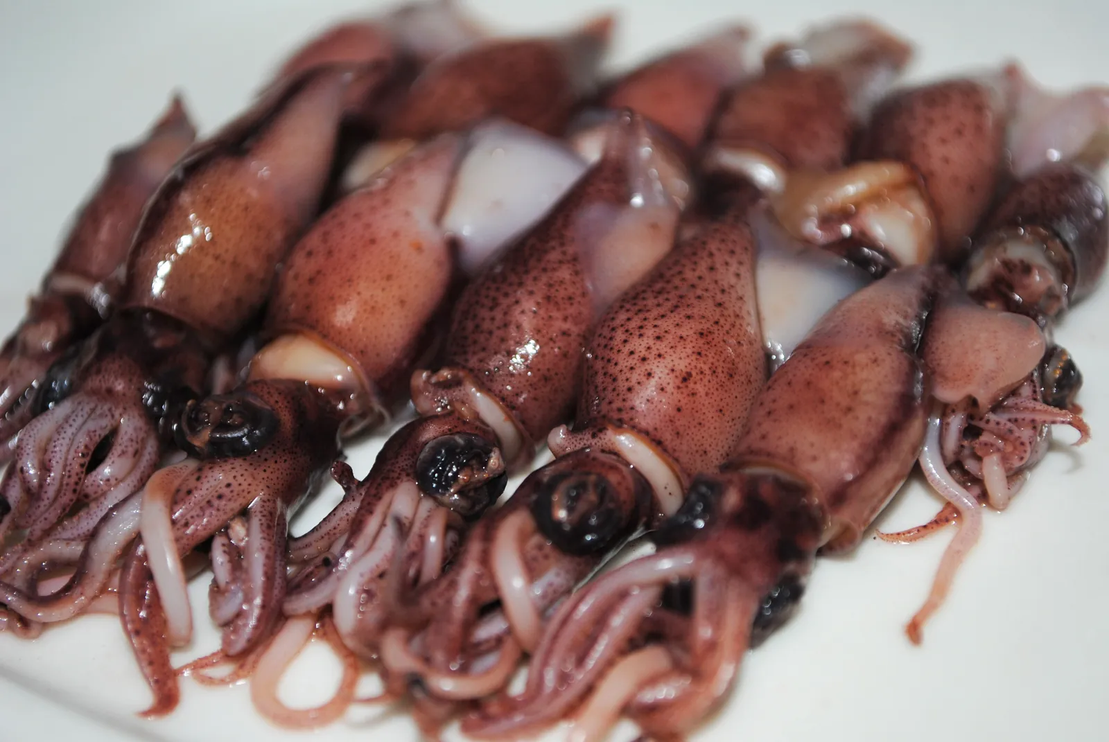 Boiled firefly squid. Photo: Lombroso (CC BY-SA 3.0)