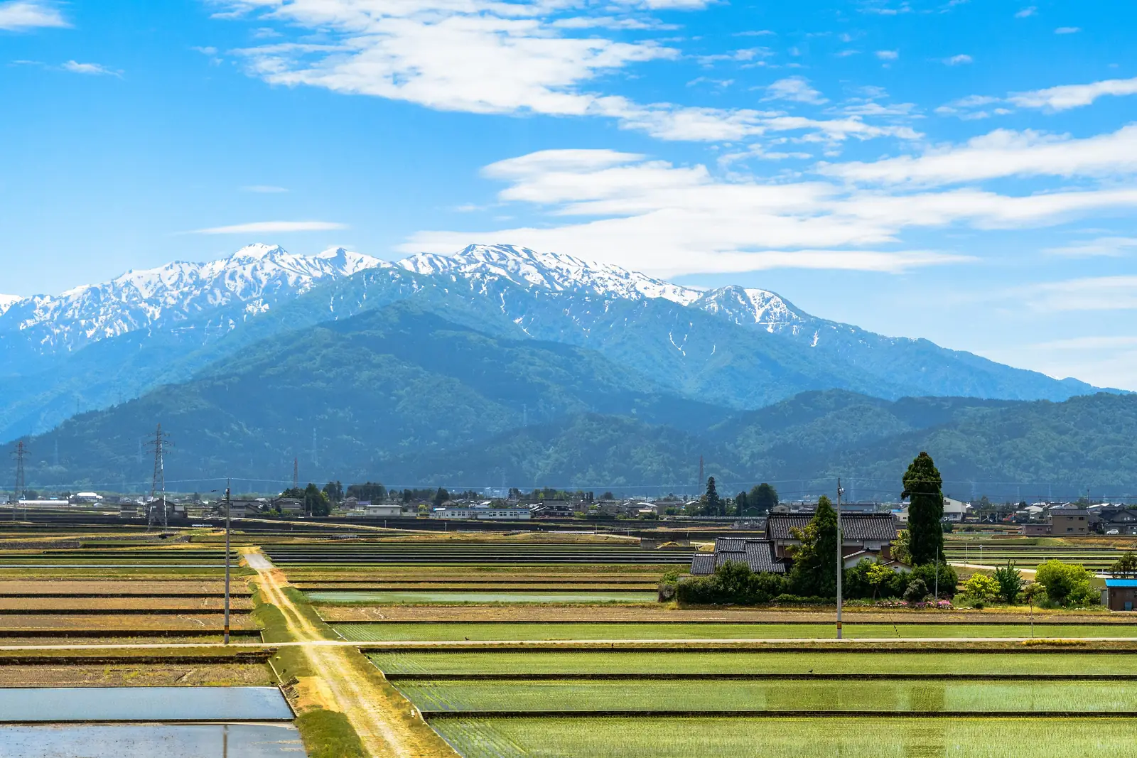 Flooded spring paddies and the snow-streaked range. Before rice planting, the plain mirrors sky and mountains. Photo: dconvertini (CC BY-SA 2.0)