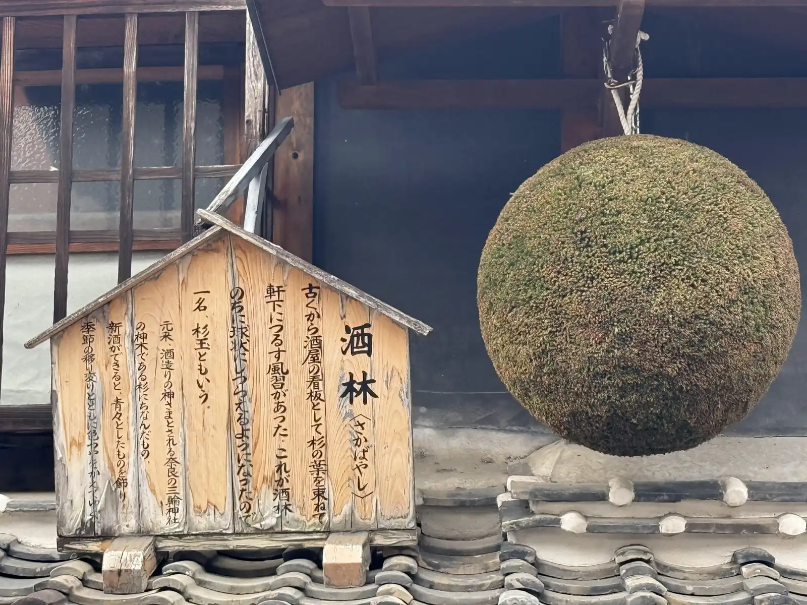A sugidama (ball of cedar sprigs) hanging under a brewery's eaves. Photo: Makoragi (CC BY 4.0)